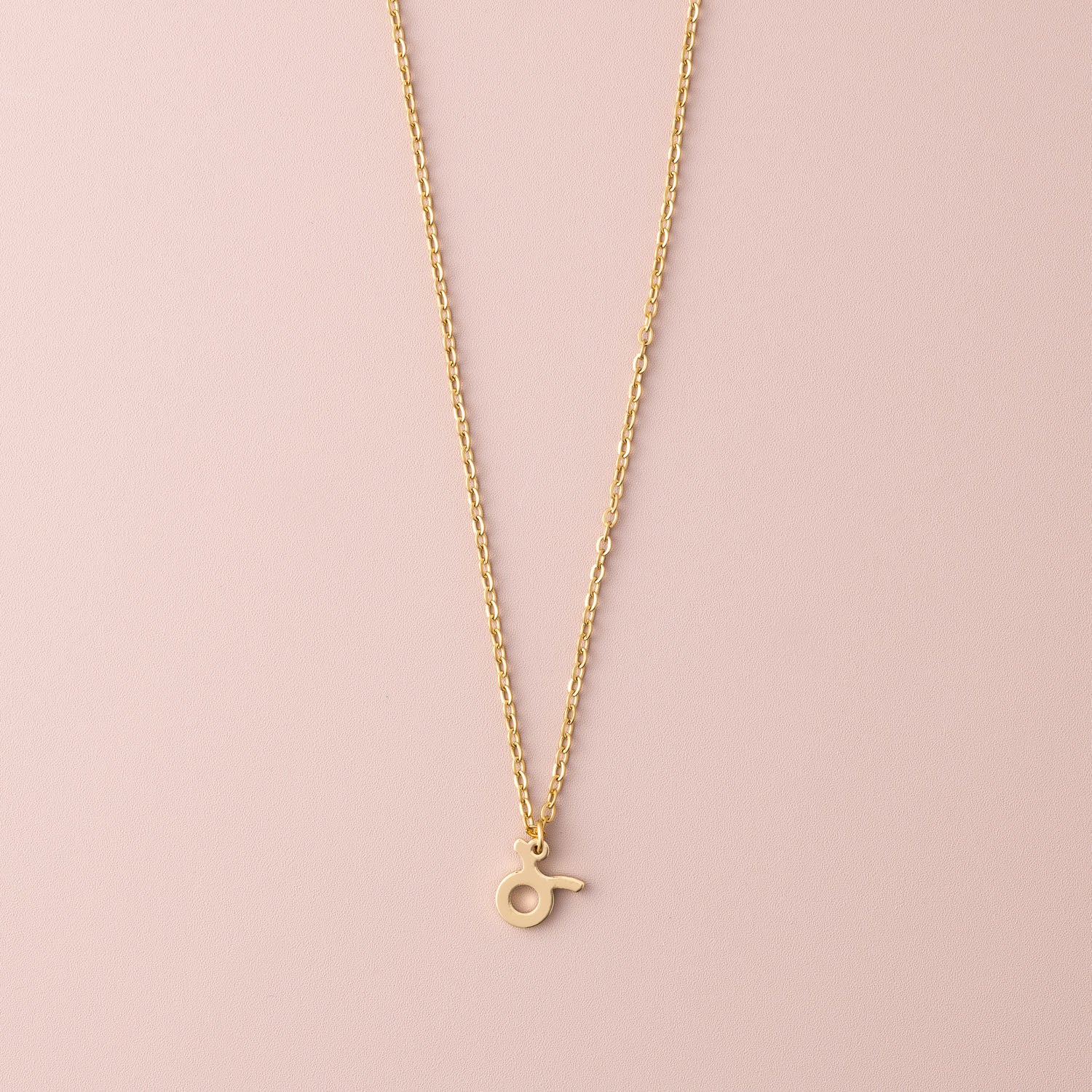 Zodiac Sign Necklace