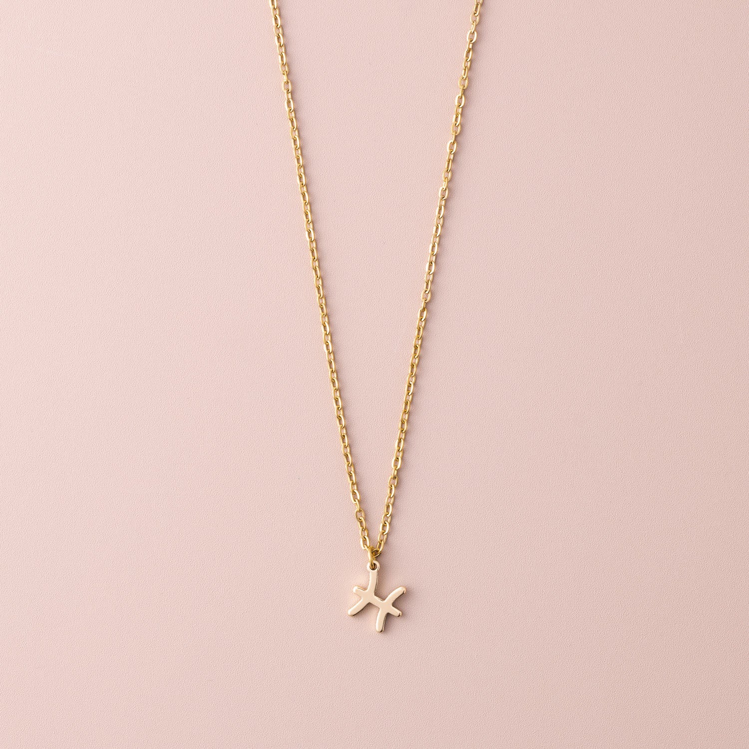 Zodiac Sign Necklace